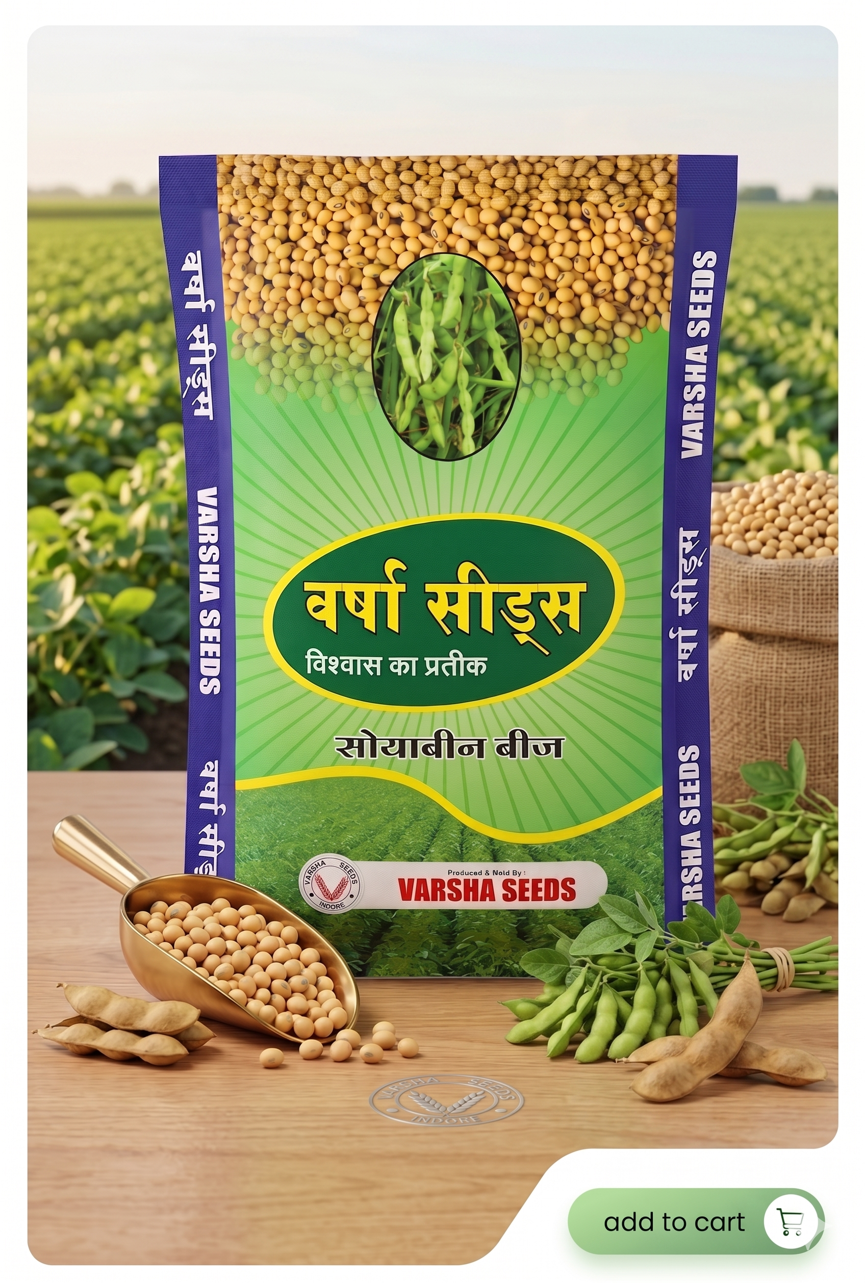 Maize Seeds