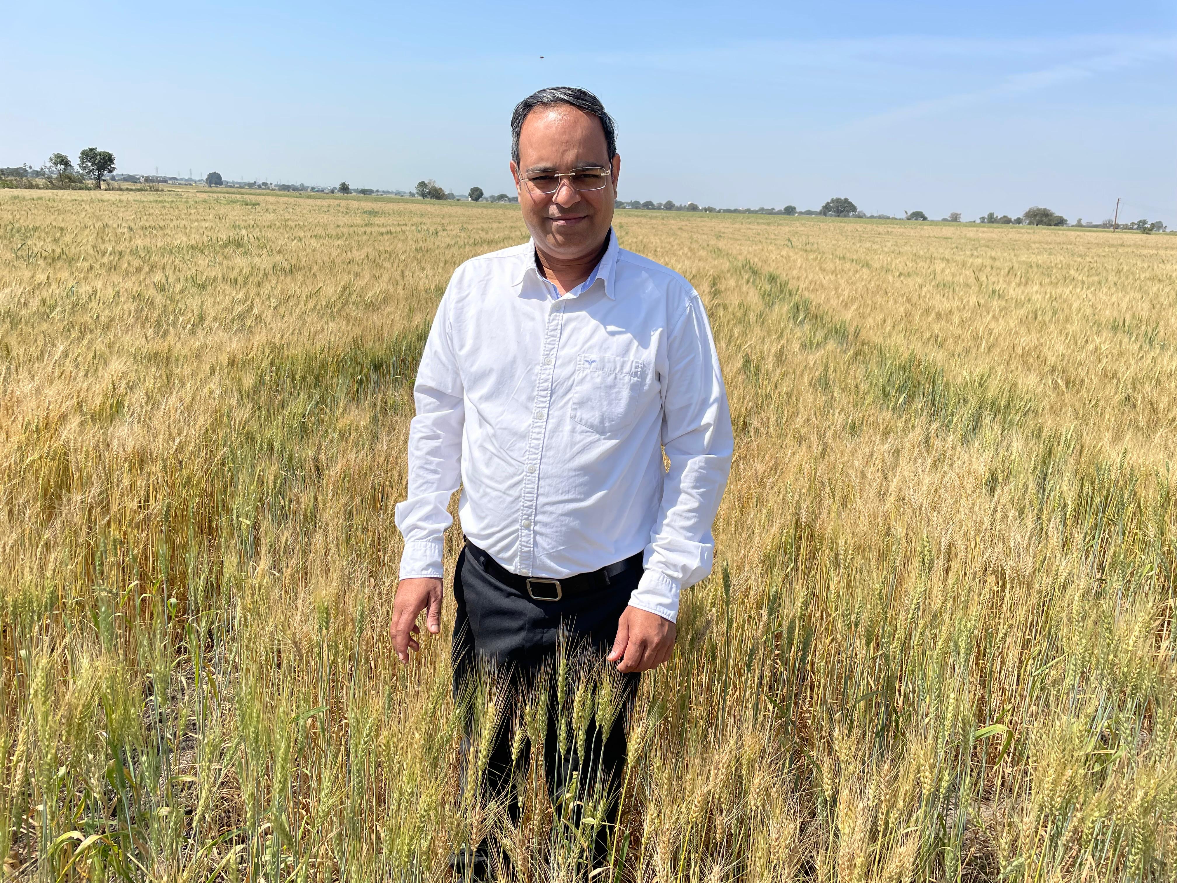 Maize Field Trials
